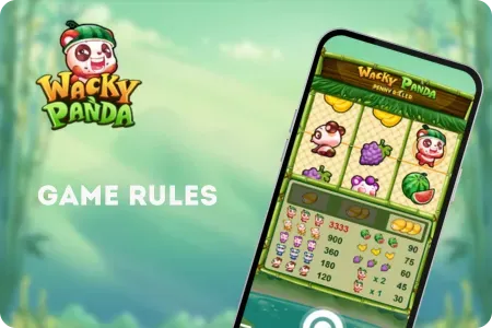 Game rules in Wacky Panda