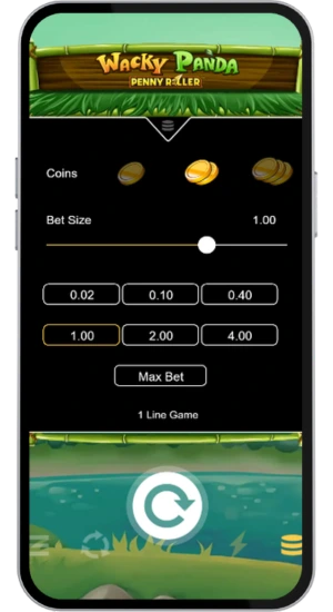 Wacky Panda bet size and coin settings