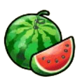 Watermelon Symbol